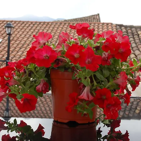 Cecilia's Casa vacanze